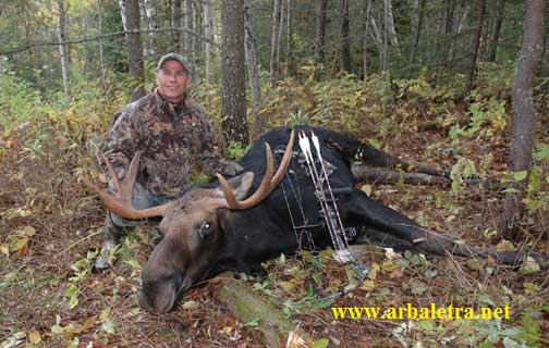 Лук блочный HOYT "Carbon Spyder 30"  USA