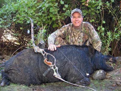 Лук Hoyt GameMaster II USA. 55lbs