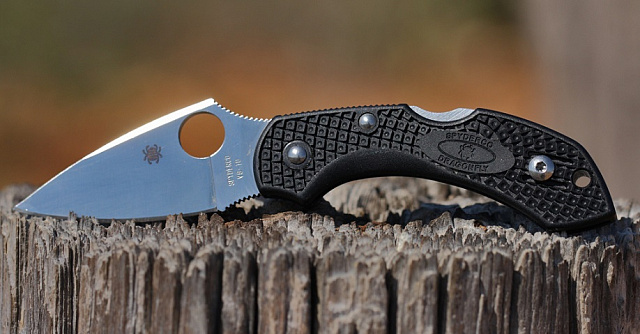 Складной нож Spyderco "DRAGONFLY 2 PIN" C28PBK2