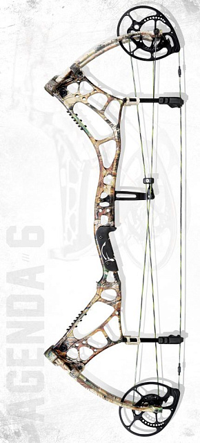 Блочный лук Bear Archery "Agenda 6".