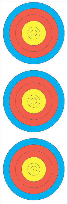 Мишень JVD TARGET FACE FITA Las Vegas