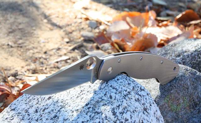 Складной нож Spyderco Military Titanium C36TIFP