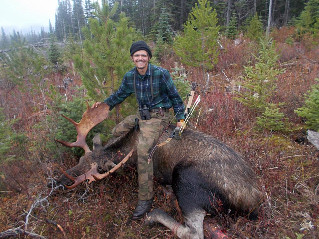 Лук Hoyt Buffalo USA.