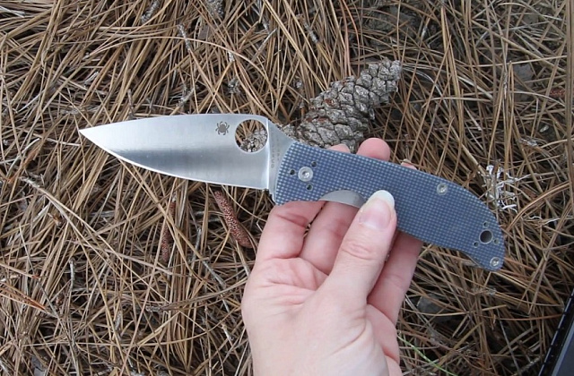 Складной нож Spyderco Polestar C220GPGY